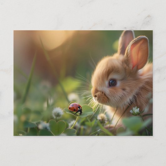 Niedliches Hasen und eine Ladybug auf dem grünen F Postkarte (Vorderseite)