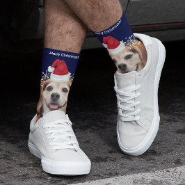 Niedliches Haustier Foto Weihnachtsmannmütze Blaue Socken