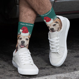 Niedliches Haustier Foto Weihnachtsmannmütze Grün  Socken