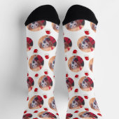 Niedliches Haustier Foto & Weihnachtsmannmützen We Socken (Oben)