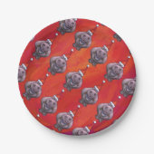 Niedliches Hippo in Weihnachtsmannmütze Muster auf Pappteller (Vorderseite)