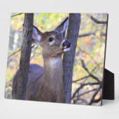 Niedliches Hirsch im Wald Fotoplatte (Seite)