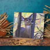 Niedliches Hirsch im Wald Fotoplatte (Seite)