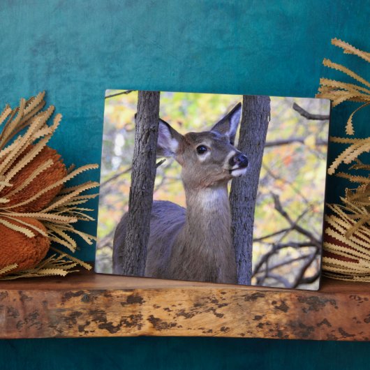 Niedliches Hirsch im Wald Fotoplatte (Seite)