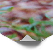 Niedliches Hirsch im Wald Poster (Ecke)