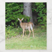 Niedliches Hirsch Weinetikett (Einzelnes Label)