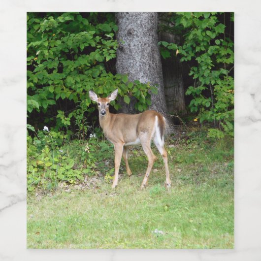 Niedliches Hirsch Weinetikett (Einzelnes Label)