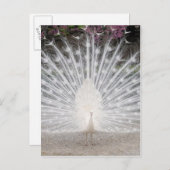 Niedliches hübsches Party Einladungspostkarte (Vorne/Hinten)