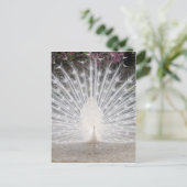 Niedliches hübsches Party Einladungspostkarte (Stehend Vorderseite)