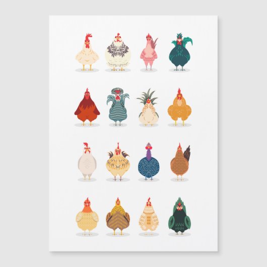  Niedliches Hühnchen Magnetkarte (Vorderseite)