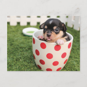 Niedliches Hund in Tasse Postkarte