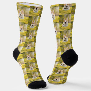 Niedliches Hundeschlitten-Foto Socken