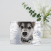 Niedliches Husky-Welpen-Farbfoto Postkarte (Stehend Vorderseite)