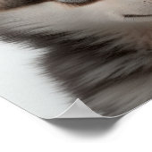 Niedliches Husky-Welpenportrait (Hund) | Platz 1:1 Poster (Ecke)