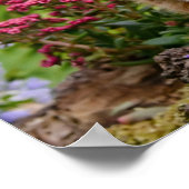 Niedliches Ingwer-Kätzchen im Garten, das mit Blum Poster (Ecke)