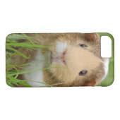 Niedliches inländisches Meerschweinchen Case-Mate iPhone Hülle (Rückseite (Horizontal))
