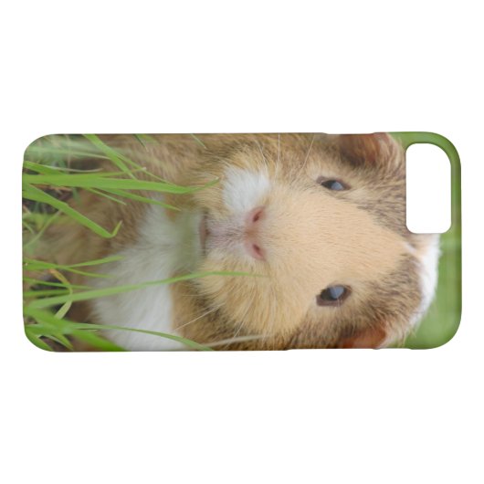 Niedliches inländisches Meerschweinchen Case-Mate iPhone Hülle (Rückseite (Horizontal))
