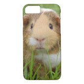 Niedliches inländisches Meerschweinchen Case-Mate iPhone Hülle (Rückseite)