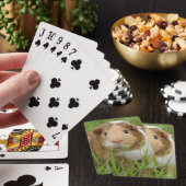 Niedliches inländisches Meerschweinchen Spielkarten (In Situ)