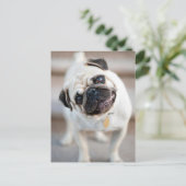 Niedliches inquisitives Mops-Design Postkarte (Stehend Vorderseite)
