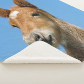 Niedliches isländisches Pferdfoal Pony Head Front  Sherpadecke (3/4)