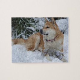 Niedliches japanisches akita im Schnee mit grauer  Puzzle