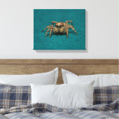 Niedliches Jumping Spider Foto Leinwanddruck (Insitu (Schlafzimmer))