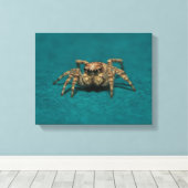 Niedliches Jumping Spider Foto Leinwanddruck (Insitu (Holzboden))