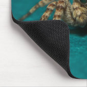 Niedliches Jumping Spider Foto Mousepad (Ecke)