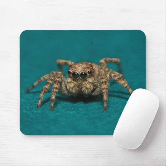 Niedliches Jumping Spider Foto Mousepad (Mit Mouse)