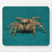 Niedliches Jumping Spider Foto Mousepad (Vorne)