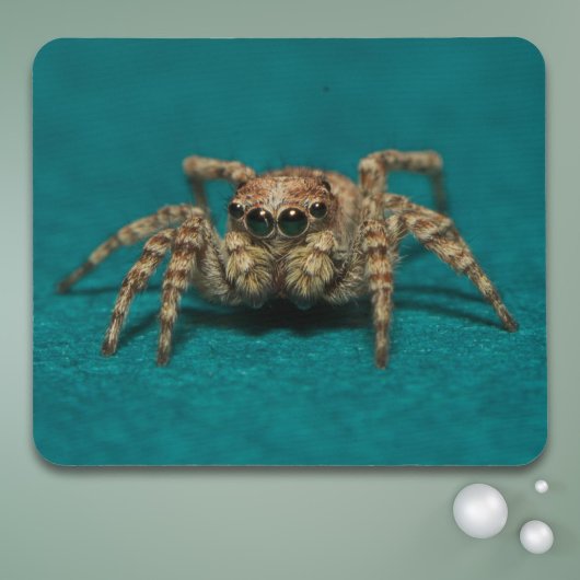 Niedliches Jumping Spider Foto Mousepad