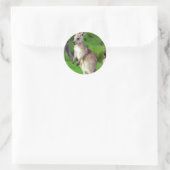 Niedliches junges Kangaroo Runder Aufkleber (Tasche)