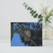 Niedliches junges Langhahn im Baum DIY Postkarte (Stehend Vorderseite)