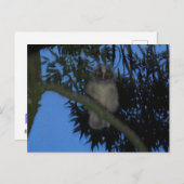 Niedliches junges Langhahn im Baum DIY Postkarte (Vorne/Hinten)