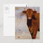 Niedliches Jungrinder mit Hornhaut-Western Postkarte (Vorne/Hinten)