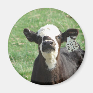 Niedliches Kalb Magnet