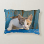Niedliches Kaliko-Katzen-Kätzchen-lustiges Dekokissen (Rückseite)