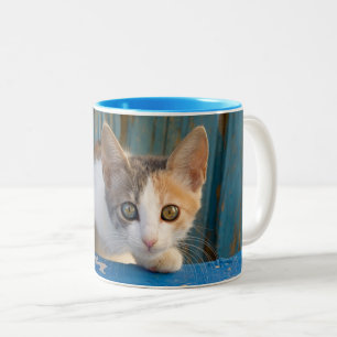 Niedliches Kaliko-Katzen-Kätzchen-lustiges Zweifarbige Tasse