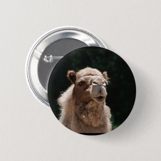 Niedliches Kamel Button (Vorne & Hinten)