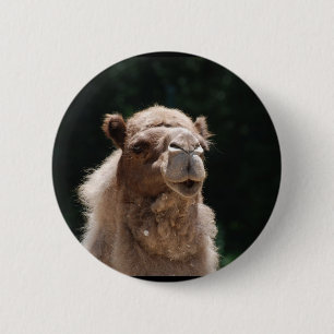 Niedliches Kamel Button