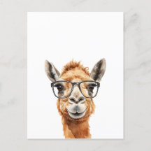 Niedliches Kamel mit Brille