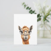 Niedliches Kamel mit Brille Postkarte (Stehend Vorderseite)