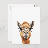 Niedliches Kamel mit Brille Postkarte (Vorne/Hinten)