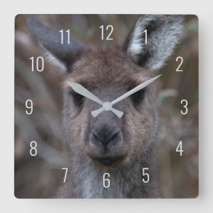 Niedliches Kangaroo-Gesicht Nah-up Australien Quadratische Wanduhr