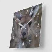 Niedliches Kangaroo-Gesicht Nah-up Australien Quadratische Wanduhr (Winkel)