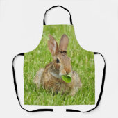 Niedliches Kaninchen essen Blätter Grüngras Schürze (Vorderseite)