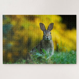 Niedliches Kaninchen-Foto Puzzle