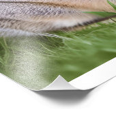 Niedliches Kaninchen Fotodruck (Ecke)