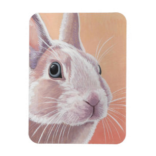Niedliches Kaninchen Magnet